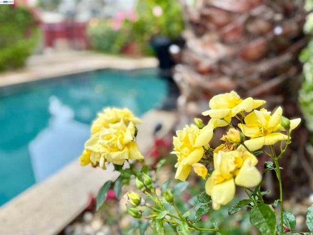 1284 Riesling Cir, Livermore, CA 94550