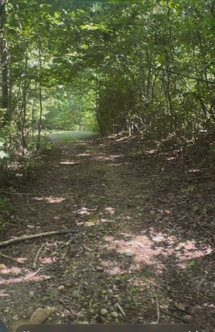 0 Lost Hollow Ln, Ashland City, TN 37015