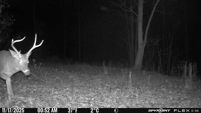0 Lost Hollow Ln, Ashland City, TN 37015