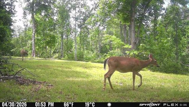 0 Lost Hollow Ln, Ashland City, TN 37015