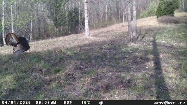 0 Lost Hollow Ln, Ashland City, TN 37015