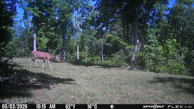 0 Lost Hollow Ln, Ashland City, TN 37015