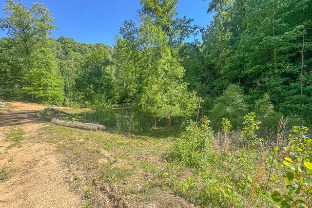 0 Lost Hollow Ln, Ashland City, TN 37015