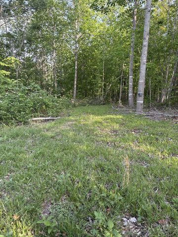 0 Lost Hollow Ln, Ashland City, TN 37015