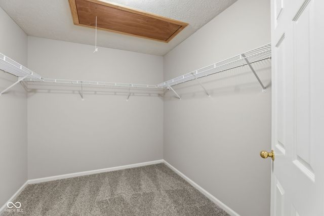 12446 Schoolhouse Road, Fishers, IN 46037