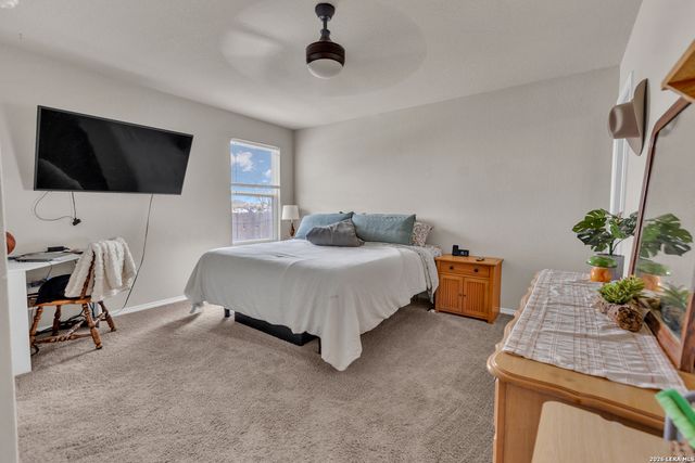 2471 Pechora Pipit, New Braunfels, TX 78130