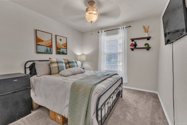 2471 Pechora Pipit, New Braunfels, TX 78130