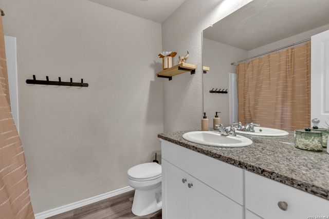 2471 Pechora Pipit, New Braunfels, TX 78130