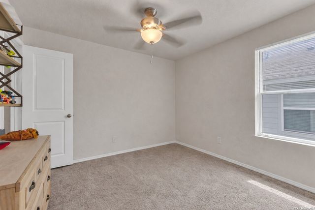 2471 Pechora Pipit, New Braunfels, TX 78130