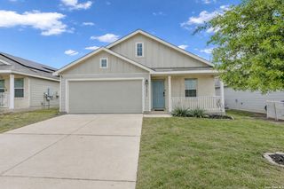2471 Pechora Pipit, New Braunfels, TX 78130