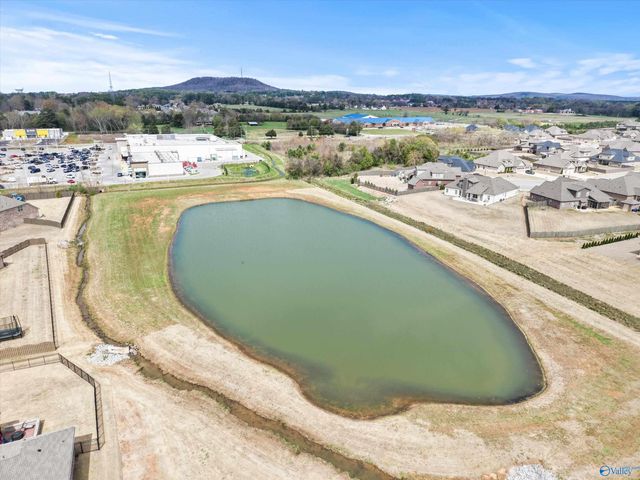 140 Blue Spruce Drive, Madison, AL 35757