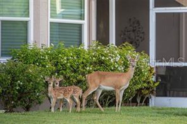 5126 BLUE ASH AVENUE, Sarasota, FL 34241