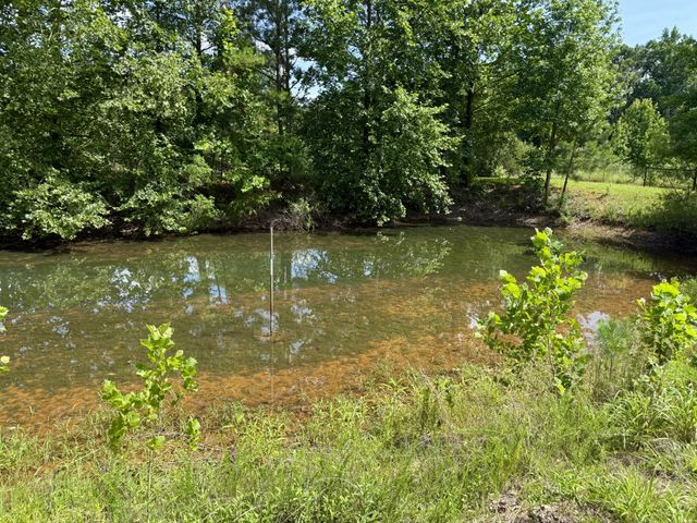 59 Hardin Loop, Westpoint, TN 38486