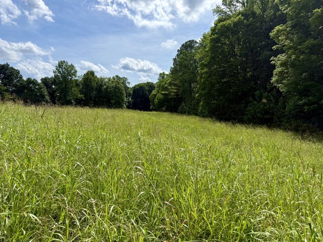 59 Hardin Loop, Westpoint, TN 38486