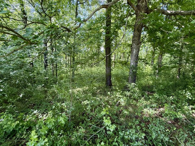 59 Hardin Loop, Westpoint, TN 38486