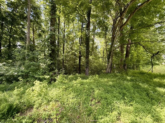 59 Hardin Loop, Westpoint, TN 38486