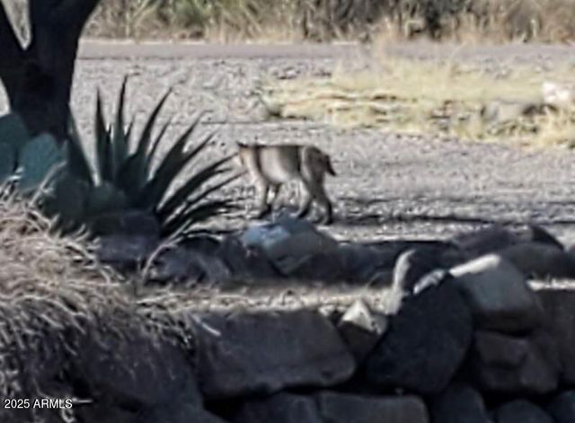 5693 S CALLE METATE Boulevard, Sierra Vista, AZ 85650