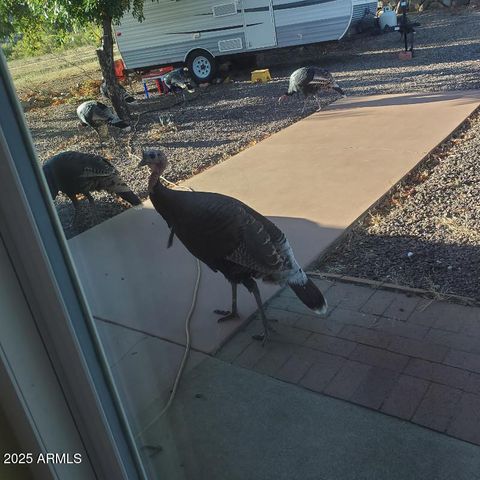 5693 S CALLE METATE Boulevard, Sierra Vista, AZ 85650