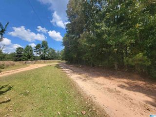 7+/- COUNTY ROAD 907, Roanoke, AL 36274