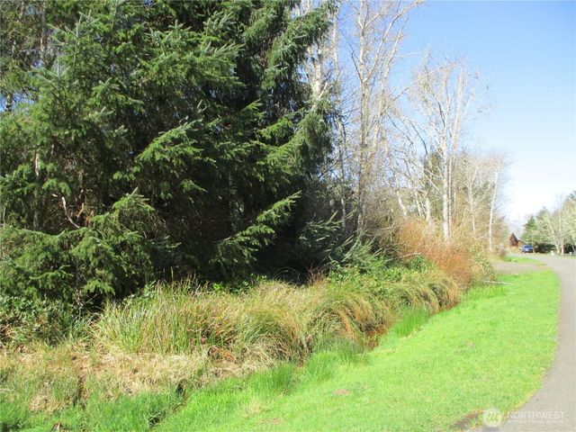 301 Olympic View, Ocean Shores, WA 98569