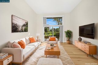 430 N Civic Dr 310, Walnut Creek, CA 94596