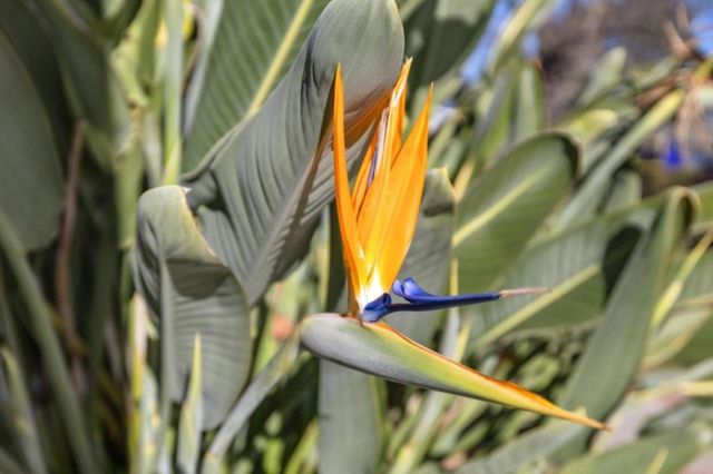 308 Hedge Road, Menlo Park, CA 94025