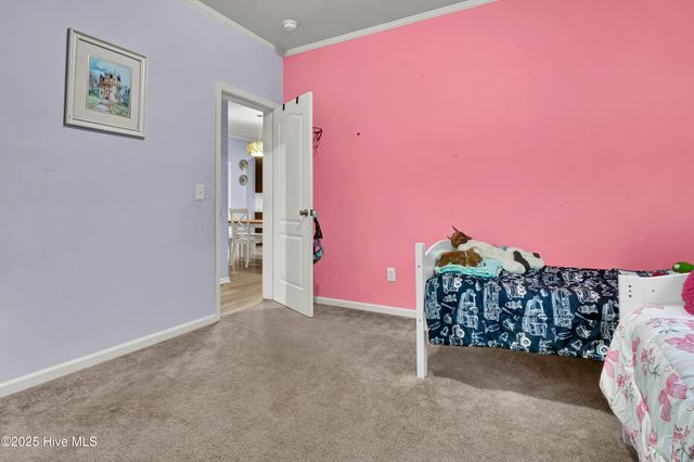 2636 Brinson Road, Currie, NC 28435