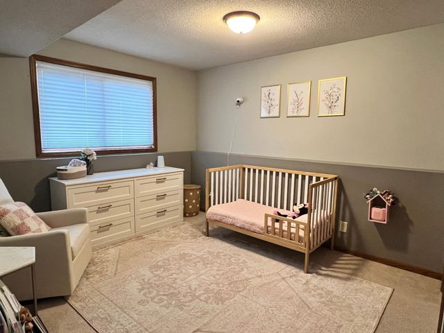 9153 Larch Lane N, Maple Grove, MN 55369