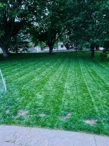 9153 Larch Lane N, Maple Grove, MN 55369