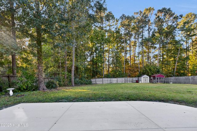 117 Cedar Ridge Drive, Maysville, NC 28555