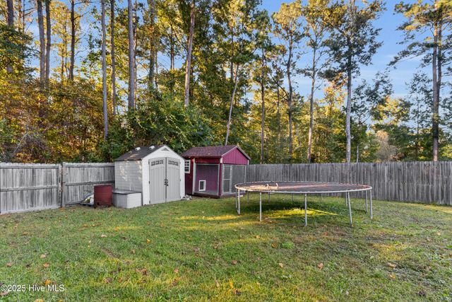 117 Cedar Ridge Drive, Maysville, NC 28555
