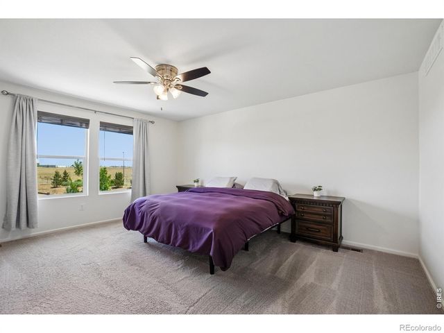 4109 Chasm Lake Drive, Loveland, CO 80538