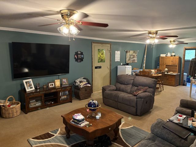 612 Francis Ferry Rd, Mcminnville, TN 37110