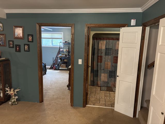 612 Francis Ferry Rd, Mcminnville, TN 37110