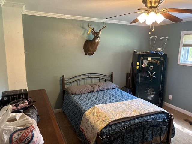 612 Francis Ferry Rd, Mcminnville, TN 37110