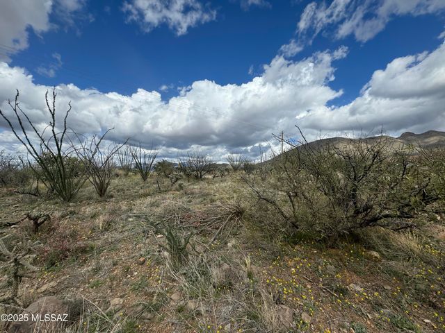 1735 Ruta Caravela, Rio Rico, AZ 85648