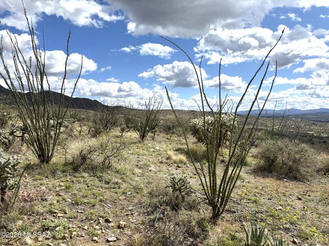 1735 Ruta Caravela, Rio Rico, AZ 85648