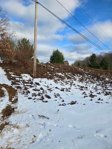 Lot 895 Lake Miramichi Drive, Evart Twp, MI 49631