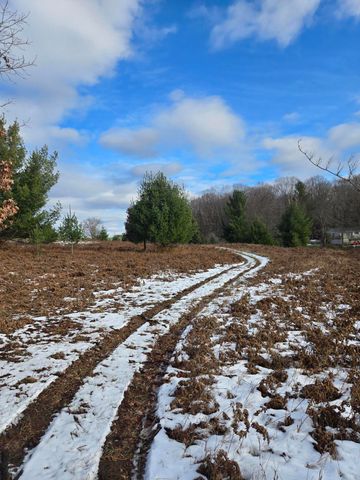 Lot 895 Lake Miramichi Drive, Evart Twp, MI 49631