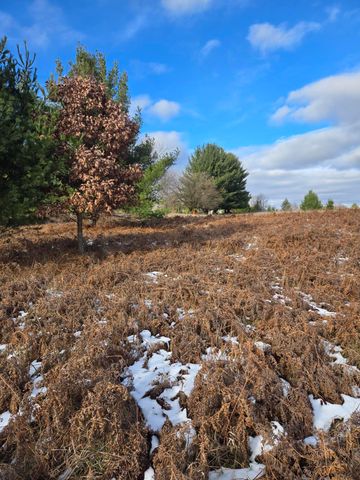 Lot 895 Lake Miramichi Drive, Evart Twp, MI 49631