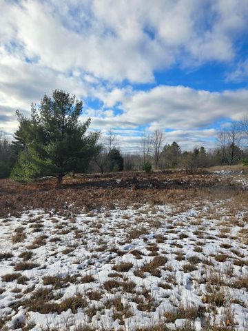 Lot 895 Lake Miramichi Drive, Evart Twp, MI 49631