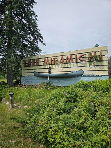 Lot 895 Lake Miramichi Drive, Evart Twp, MI 49631