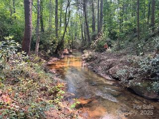 45 Stones Lake Road, Cedar Mountain, NC 28718