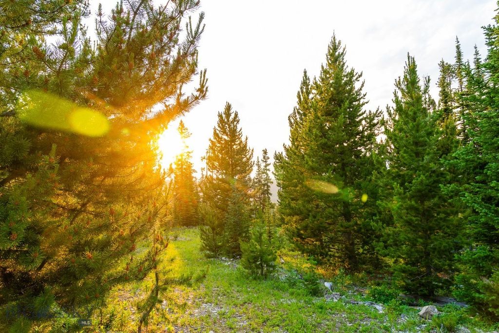 Big EZ Lot 34 Doolittle Drive, Big Sky, MT 59716 photo 25