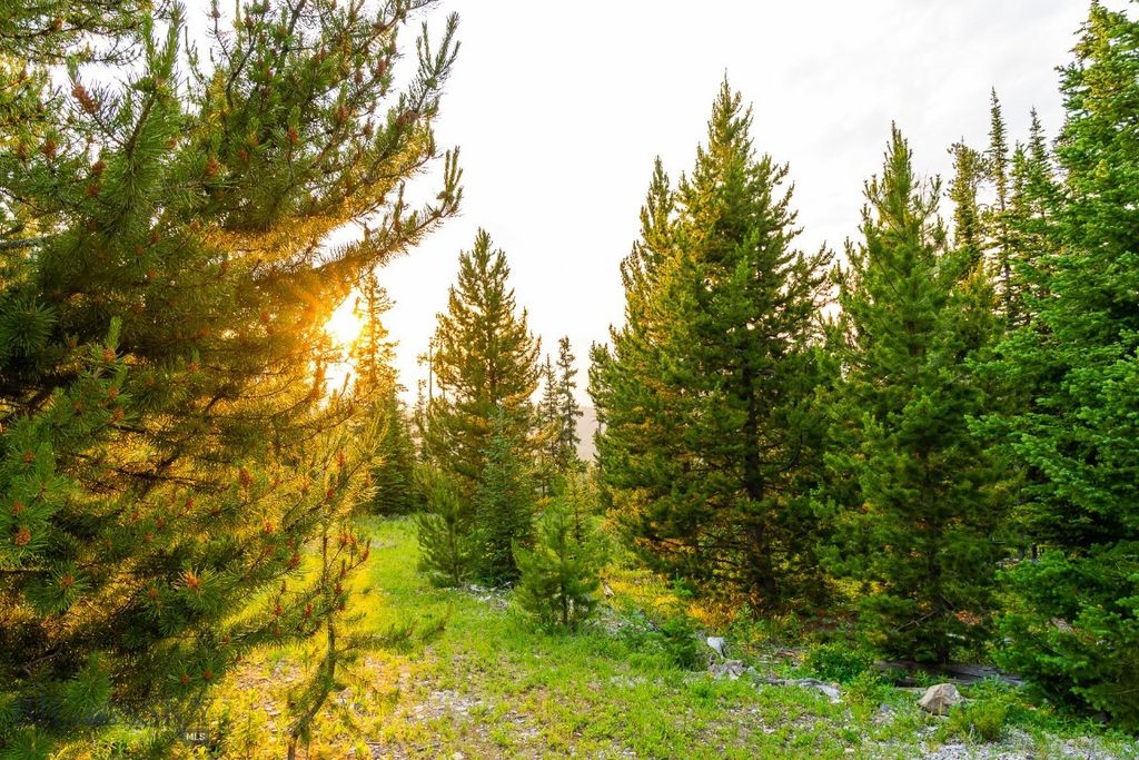 Big EZ Lot 34 Doolittle Drive, Big Sky, MT 59716 photo 26