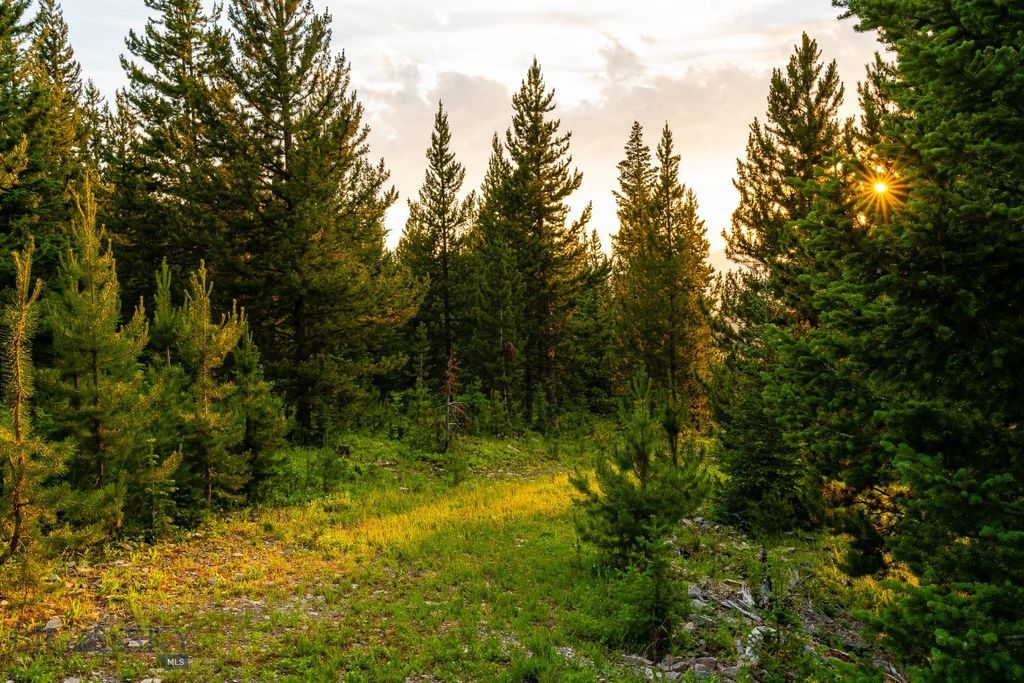 Big EZ Lot 34 Doolittle Drive, Big Sky, MT 59716 photo 27