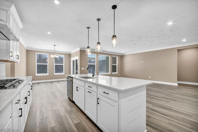 3320 White Willow Lane, Brunswick, OH 44212