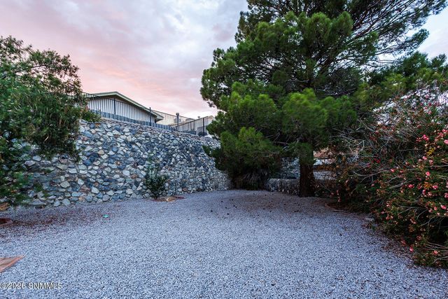 1724 Salinas Drive, Las Cruces, NM 88011
