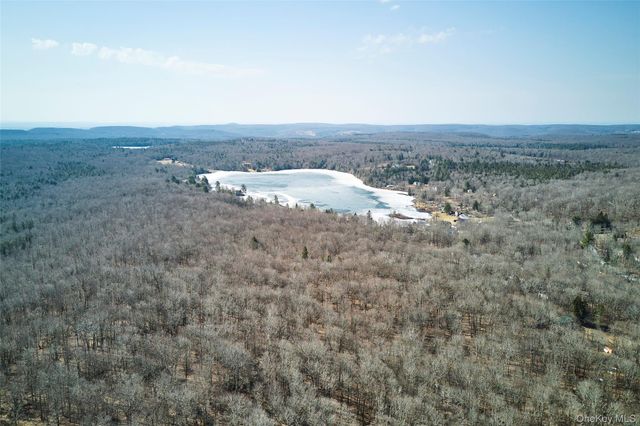 60 Mountain Terrace Road, Parksville, NY 12768