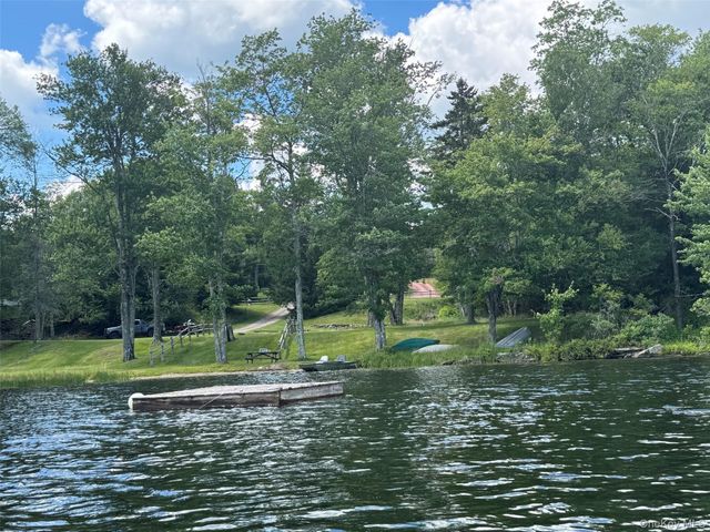 60 Mountain Terrace Road, Livingston Manor, NY 12758